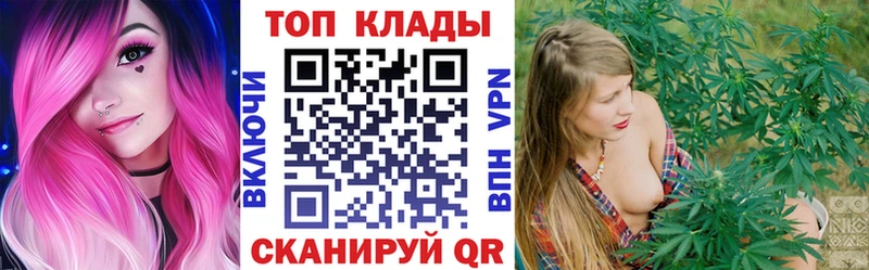 Продажа наркотиков Камышин Бошки Шишки  БУТИРАТ  ГАШ  APVP  Амфетамин 