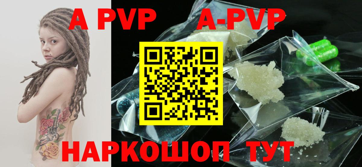 Alfa_PVP СК Камышин