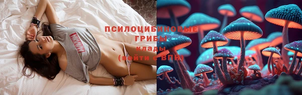 эйфоретик Алексеевка