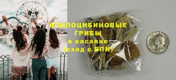 героин Алексин