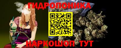 сатива Будённовск