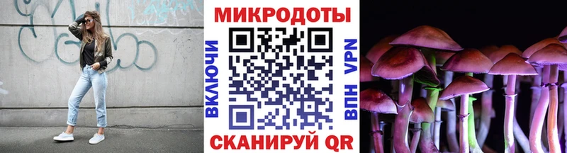 купить   ОМГ ОМГ ССЫЛКА  Галлюциногенные грибы Magic Shrooms  Камышин 