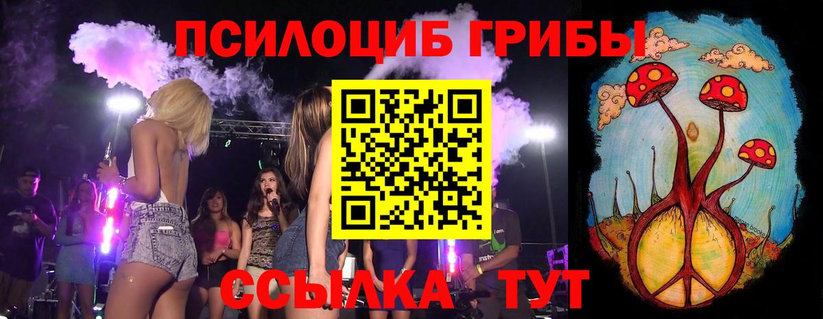 Галлюциногенные грибы Psilocybine cubensis Камышин