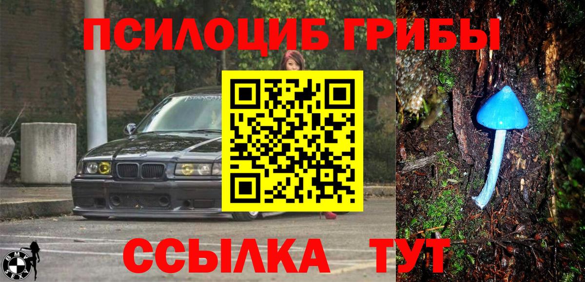 Камышин  Галлюциногенные грибы прущие грибы  Вход с VPN 